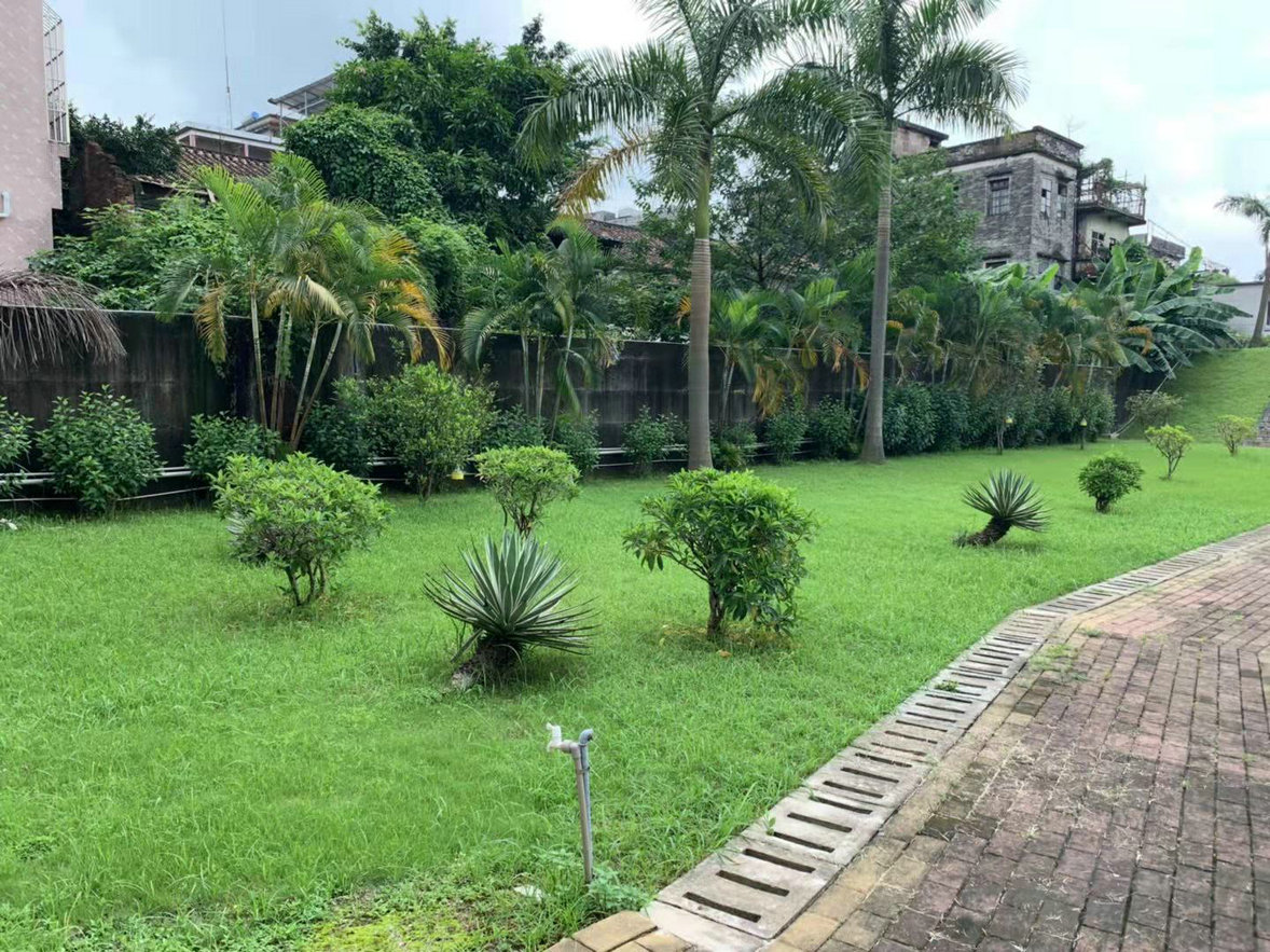 九江堤圍養(yǎng)護(hù)項目